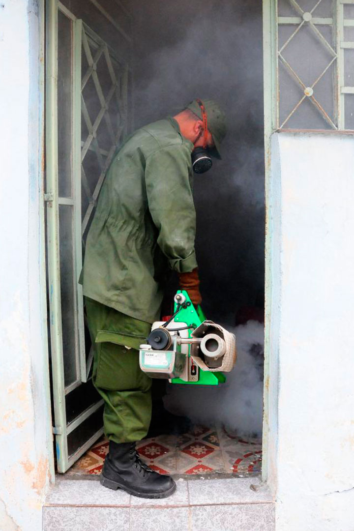 Fumigación con adulticida contra el mosquito.