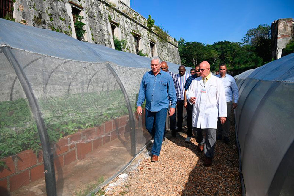 Presidente cubano recorre el organopónico del hospital ortopédico Fructuoso Rodríguez.