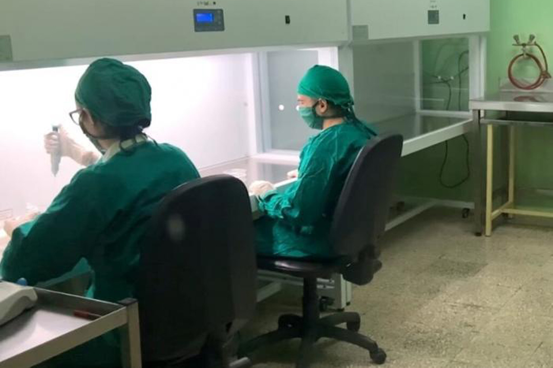 Vanguardia - Villa Clara - Cuba