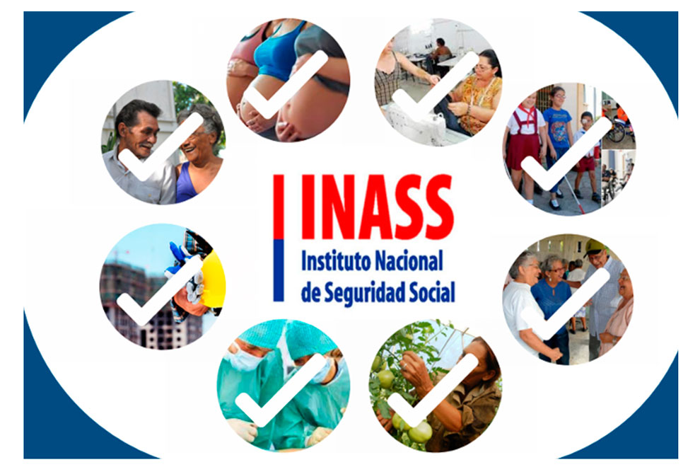 Logo del Inass.