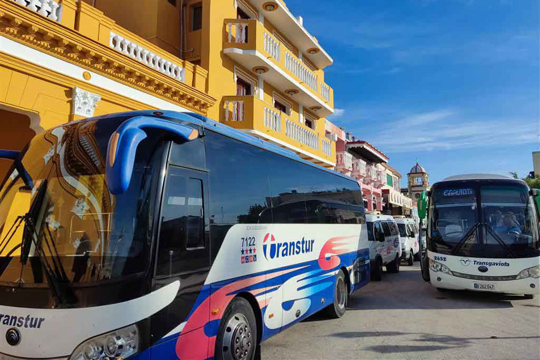 Varios omnibus de turismo