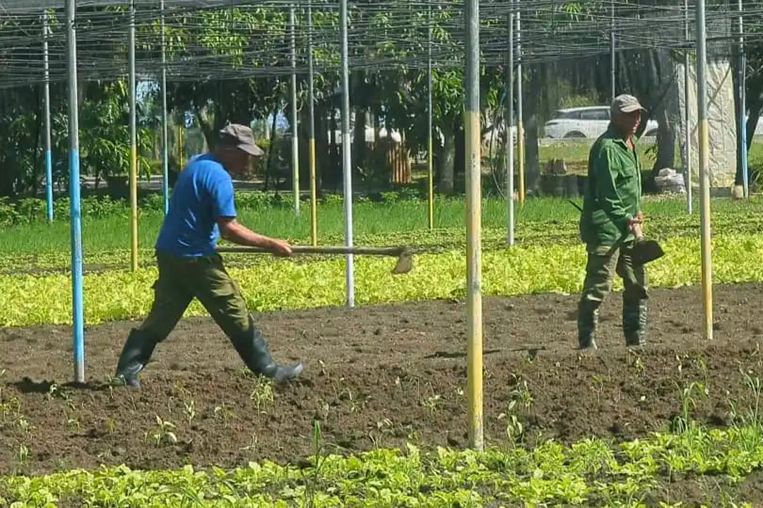 Vanguardia - Villa Clara - Cuba